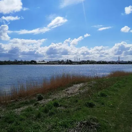 Casa de Férias Summer House For Relaxation And Activity